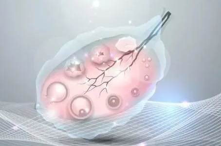 合肥借卵试管-在试管婴儿移植前改善卵巢储备功能是很重要的，本文总结了这方面的方法。
